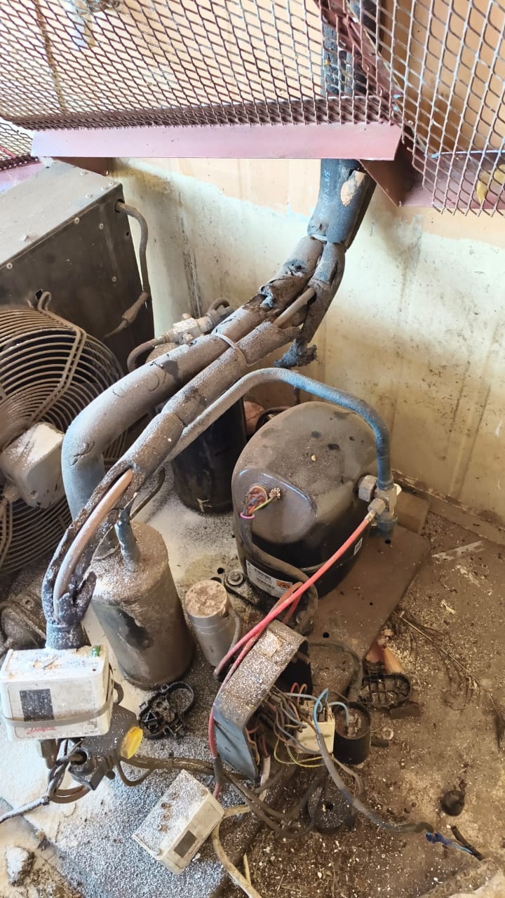 Cold room condensing unit in Magaliesburg with deteriorated refrigerant line insulation